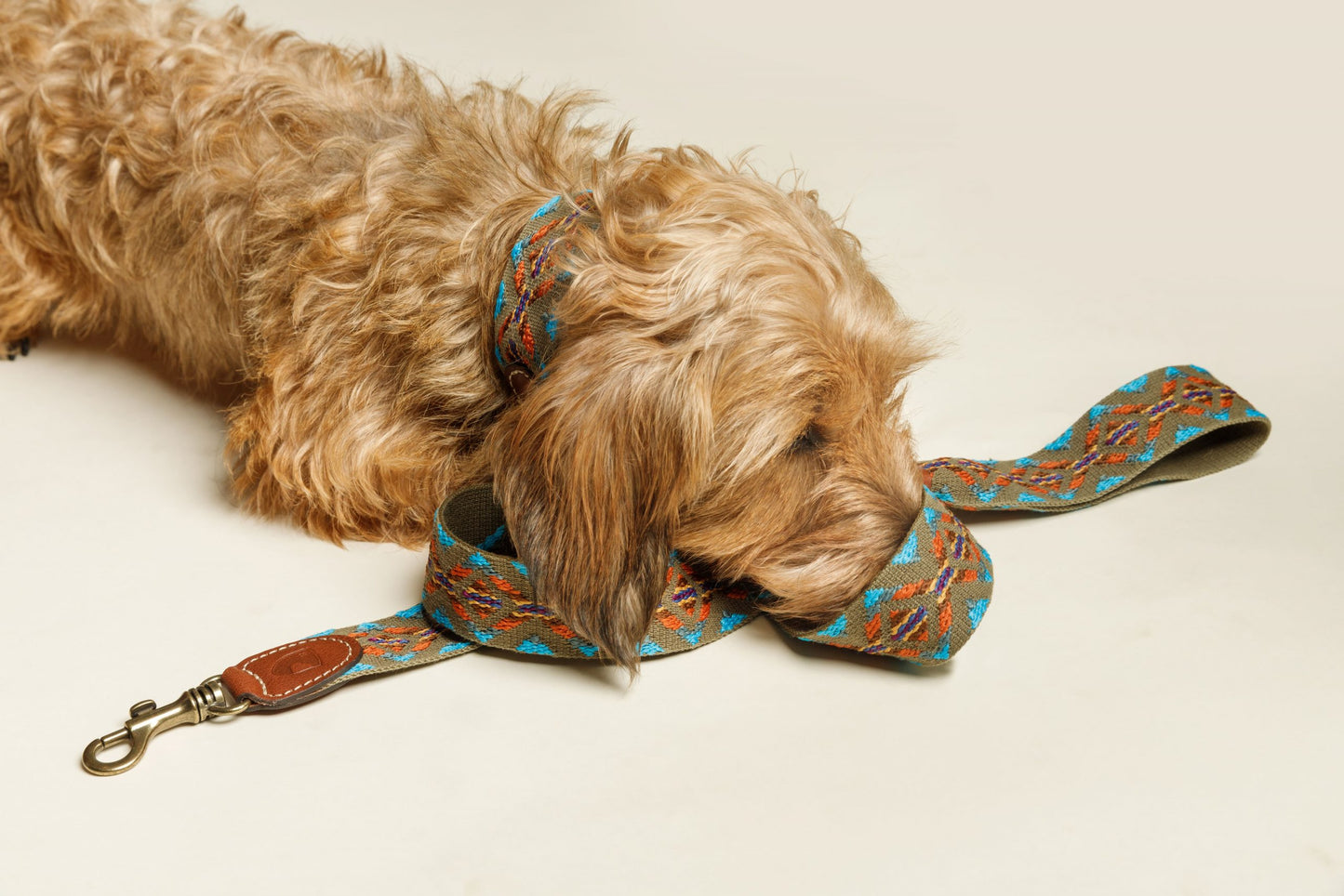 Etna Cotton Dog Lead Green