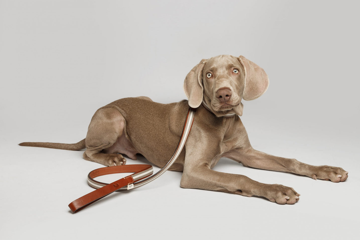 Baseball Leather Dog Lead Grey