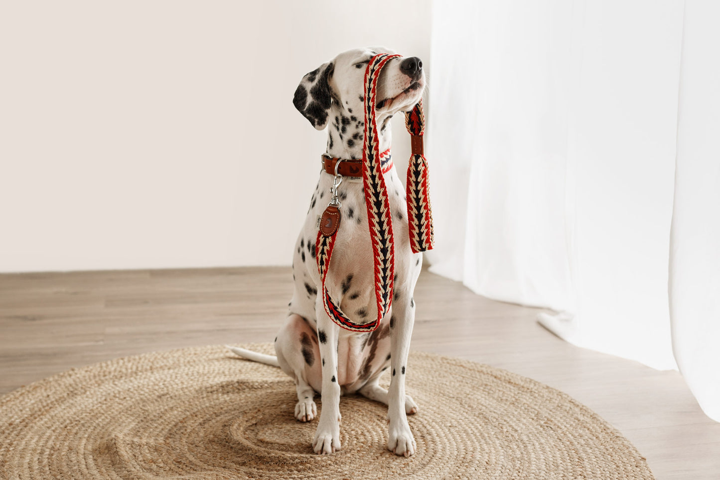 Peruvian Adjustable Arrow Cotton Dog Lead Red
