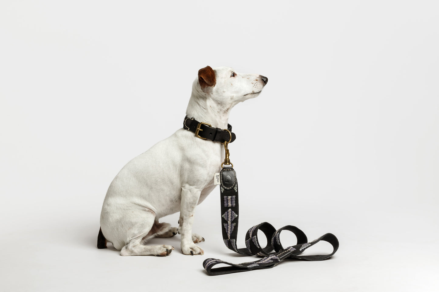 Etna Cotton Dog Lead Black