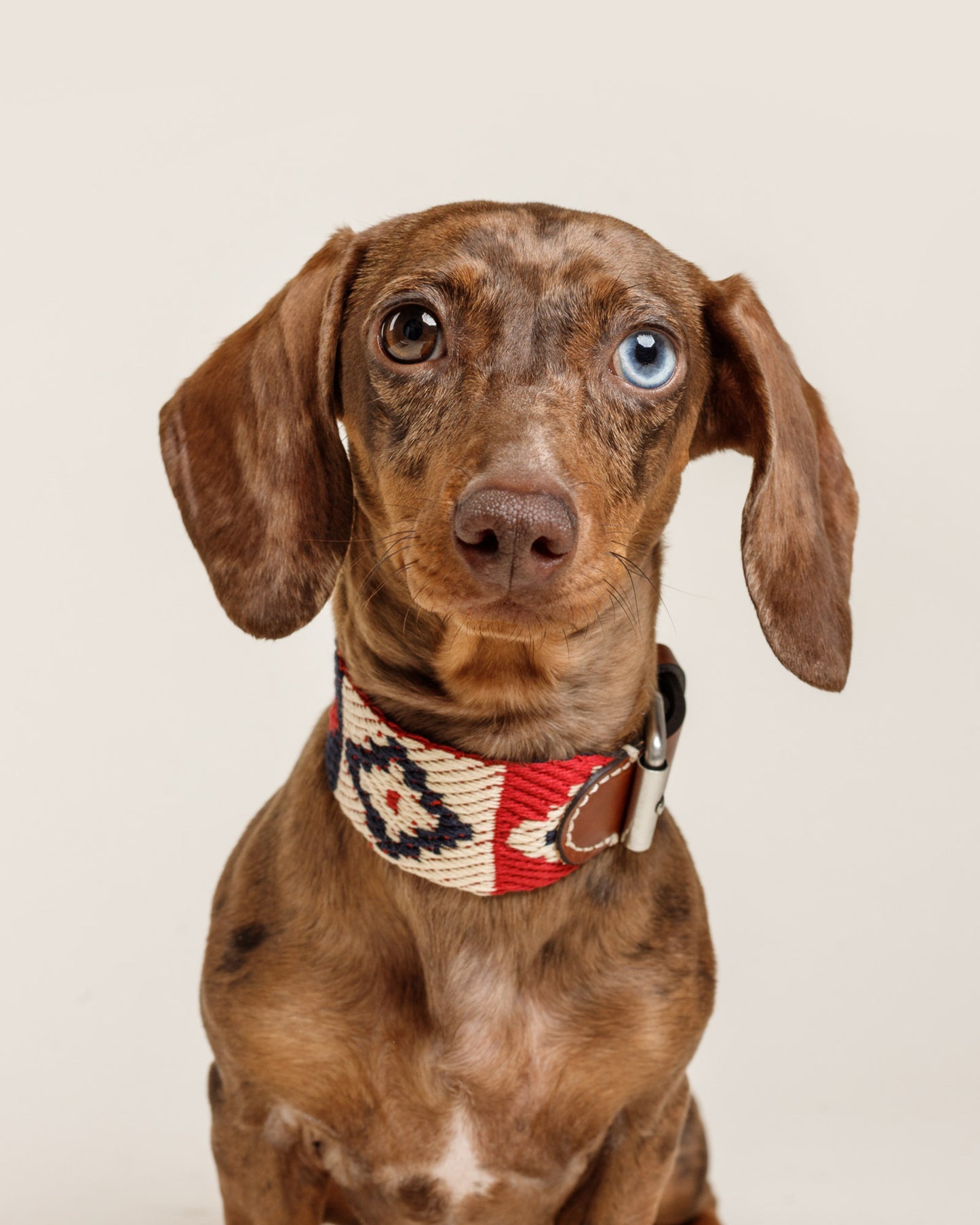 Peruvian Indian Cotton Dog Collar Red