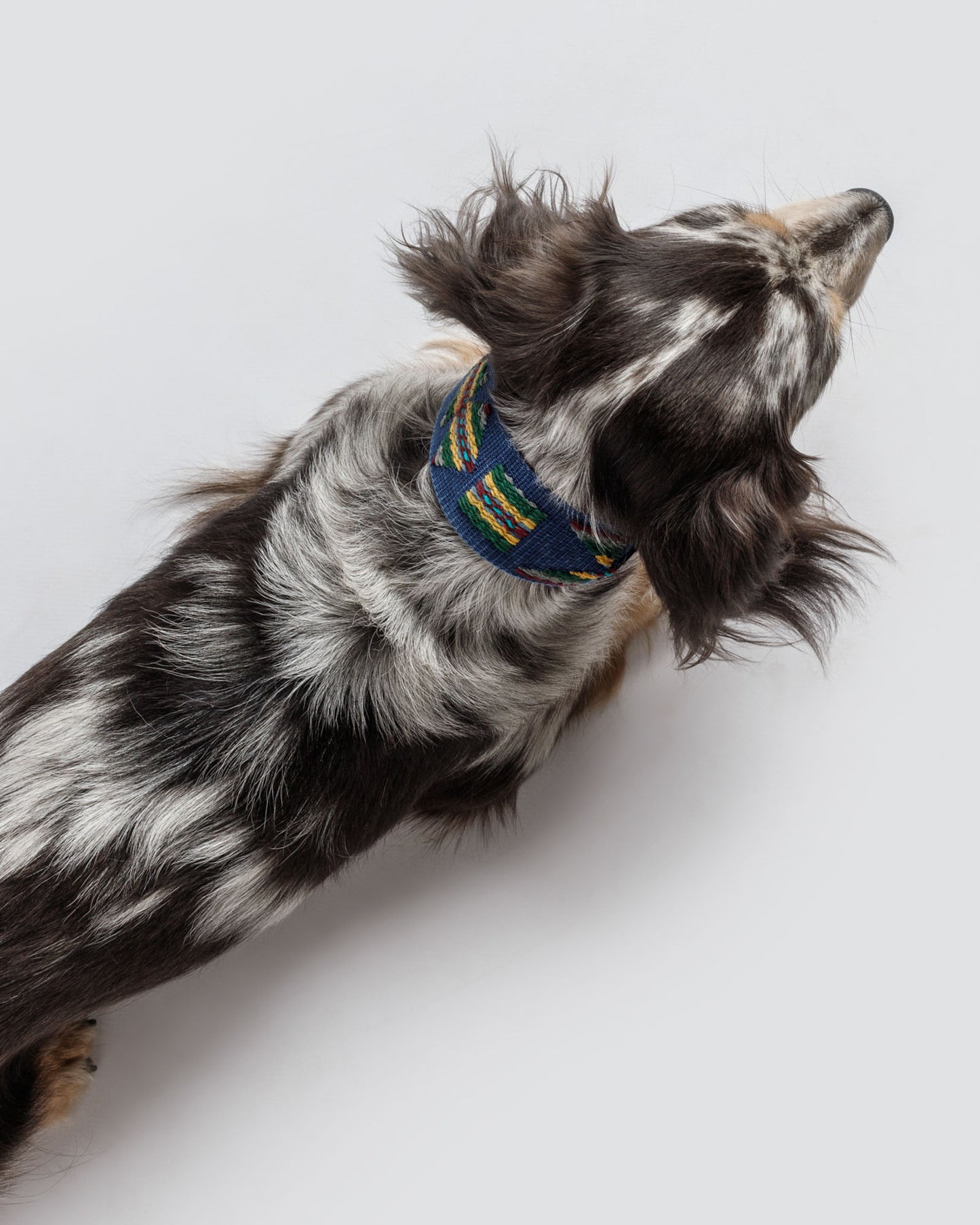 Etna Cotton Dog Collar Blue