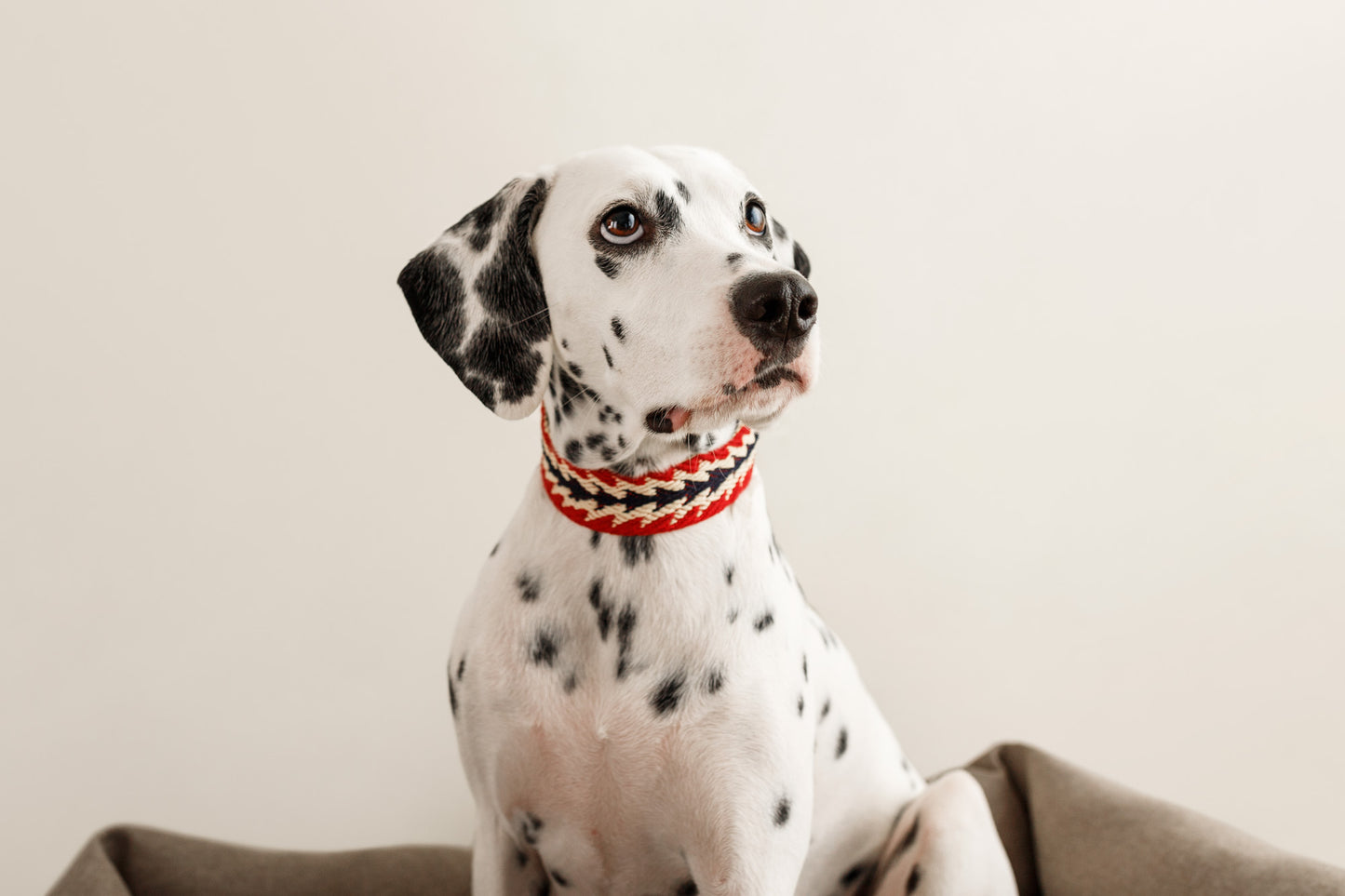 Peruvian Arrow Cotton Dog Collar Red