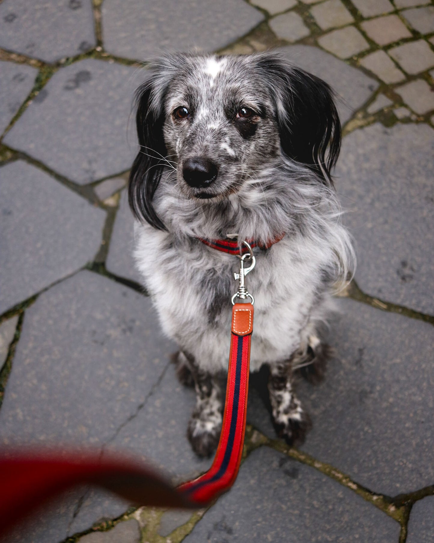 Baseball Leather Dog Lead Red