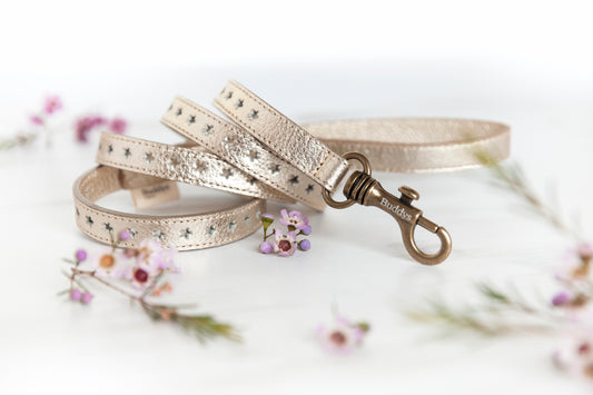 Petit Leather Goldstar Dog Lead