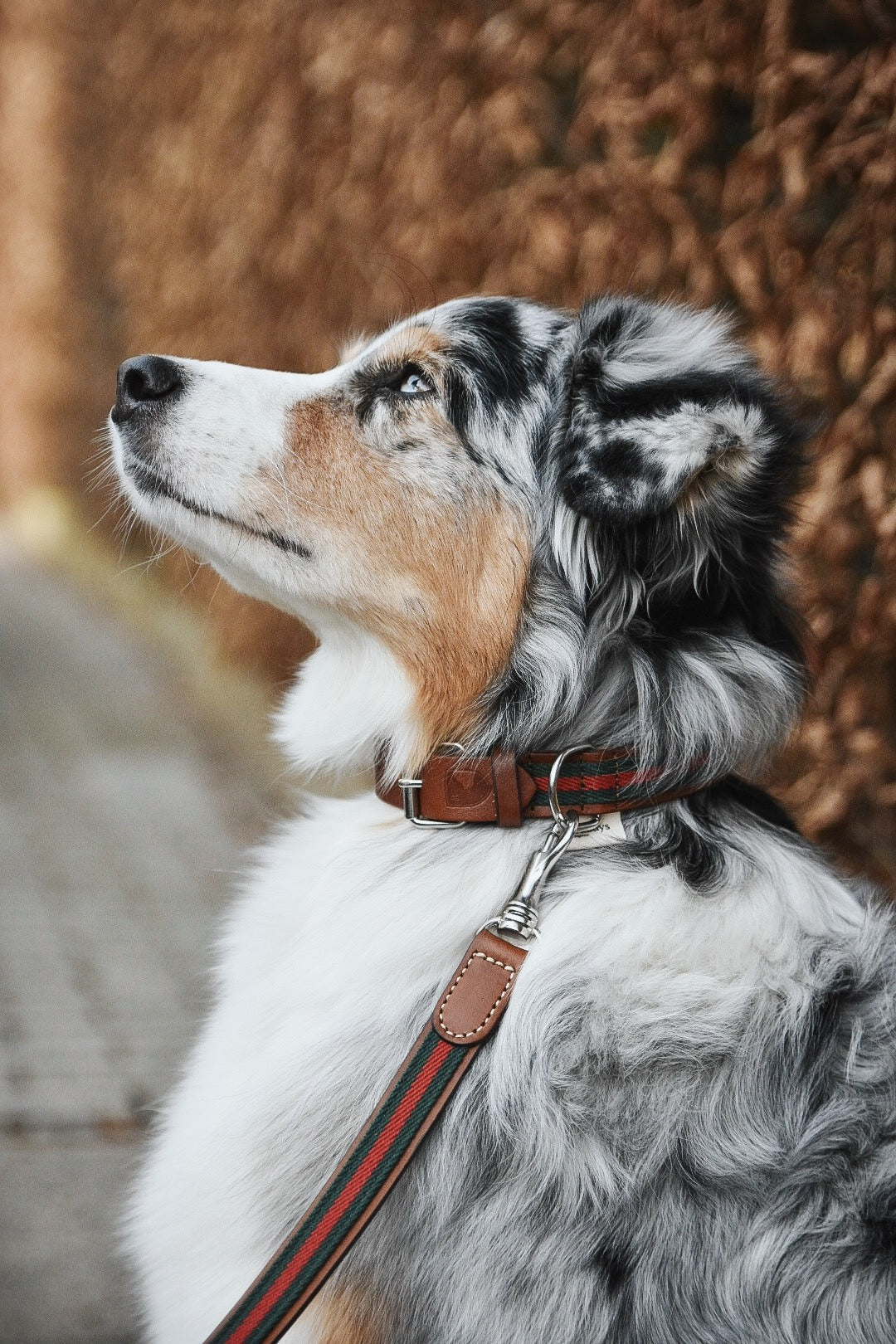 Baseball Leather Dog Collar Green